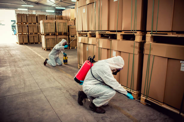 Best Termite Control Services  in Bawcomville, LA