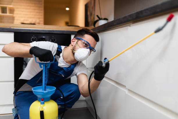 Best Best Pest Control Near Me  in Bawcomville, LA