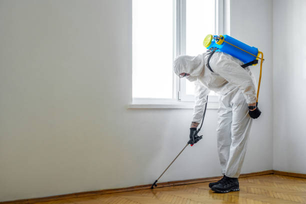 Best Wildlife Control Services  in Bawcomville, LA