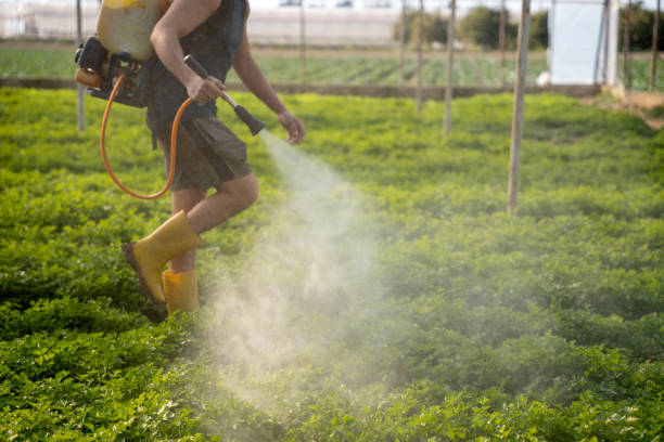 Pest Control for Restaurants in Bawcomville, LA