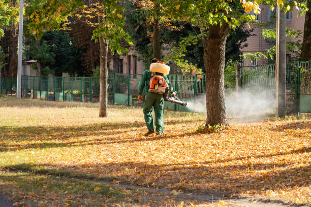 Best Best Pest Control Companies  in Bawcomville, LA