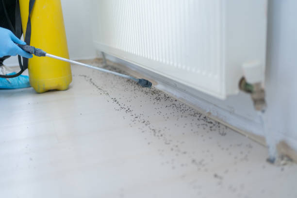 Trusted Bawcomville, LA Pest Control Experts